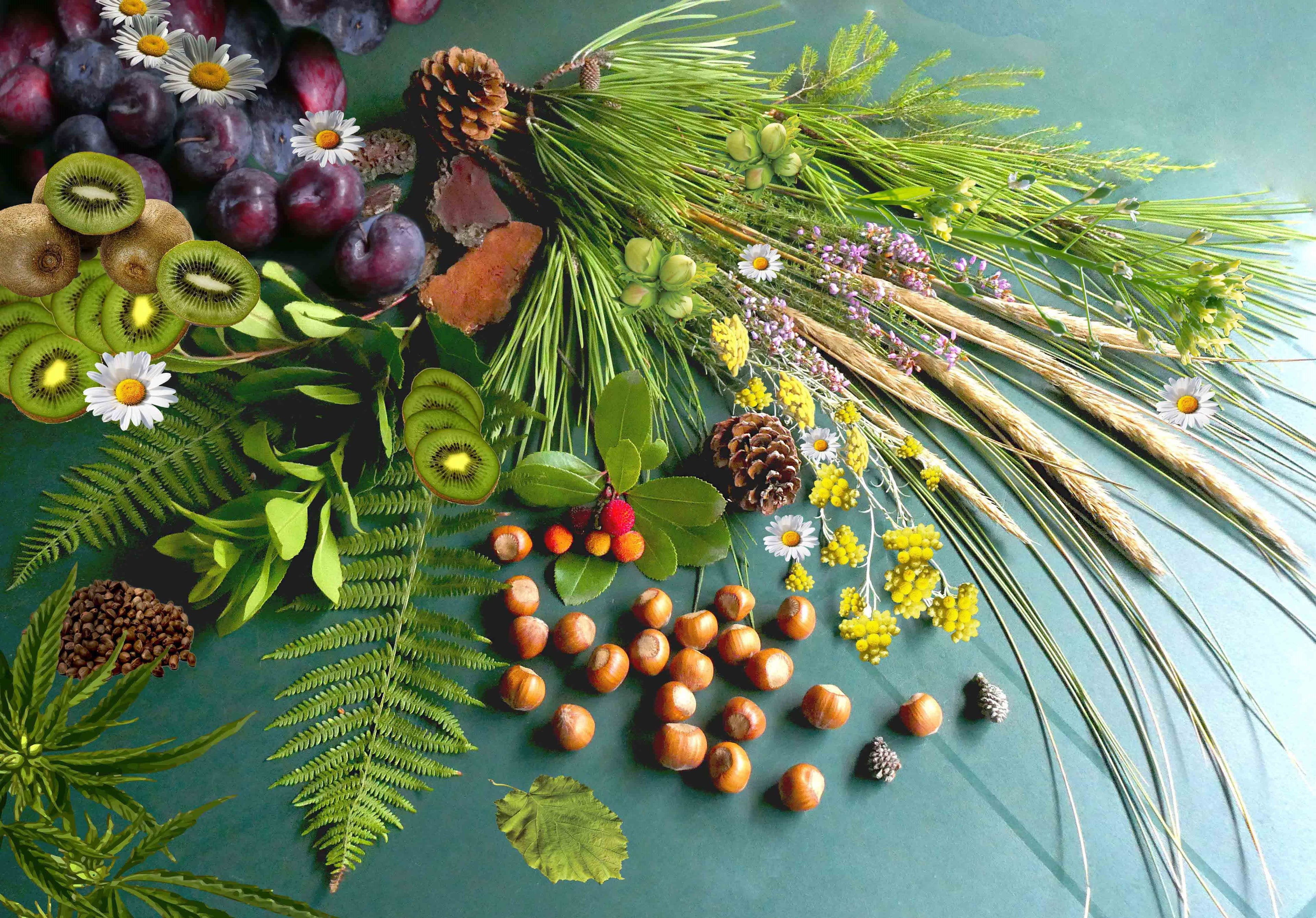 TRIO - Volupté des Landes ORGANIC 90ml