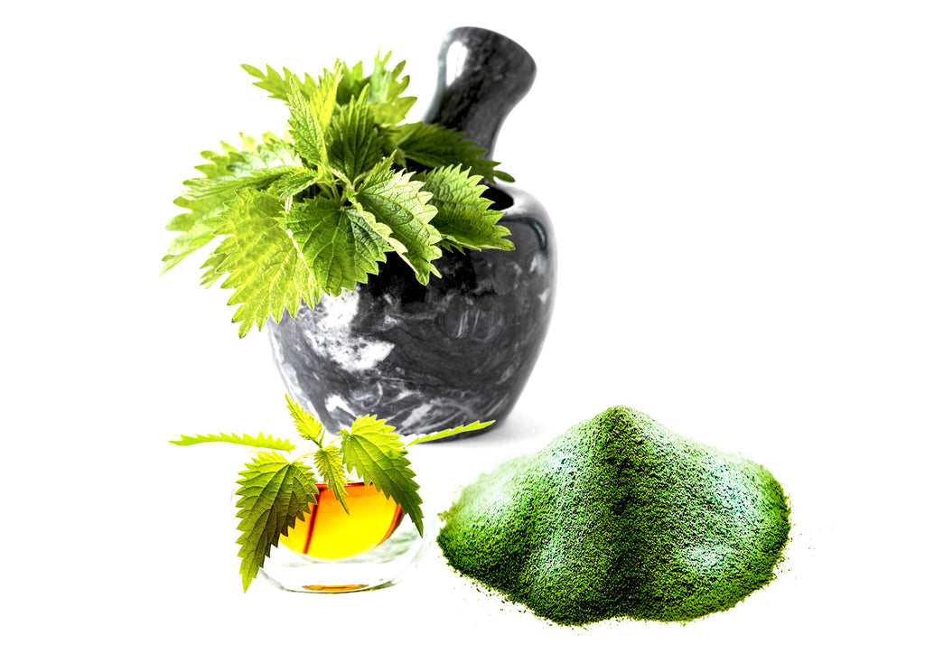 L'INCROYABLE ORTIE BIO 2000mg - Complément Alimentaire